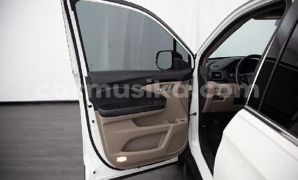 Tenga Tsaru Honda Pilot Chena Mota in Beitbridge in Matabeleland South Tenga Tsaru Honda Pilot Chena Mota in Beitbridge in Matabeleland South