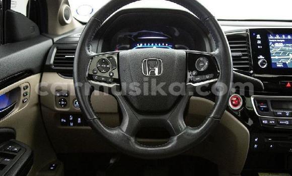 Tenga Tsaru Honda Pilot Chena Mota in Beitbridge in Matabeleland South Tenga Tsaru Honda Pilot Chena Mota in Beitbridge in Matabeleland South