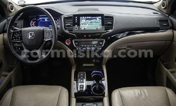 Tenga Tsaru Honda Pilot Chena Mota in Beitbridge in Matabeleland South Tenga Tsaru Honda Pilot Chena Mota in Beitbridge in Matabeleland South