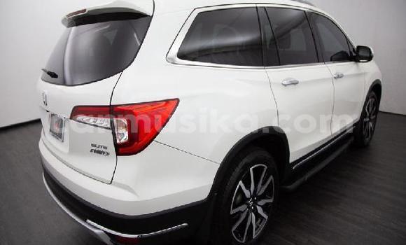 Tenga Tsaru Honda Pilot Chena Mota in Beitbridge in Matabeleland South Tenga Tsaru Honda Pilot Chena Mota in Beitbridge in Matabeleland South