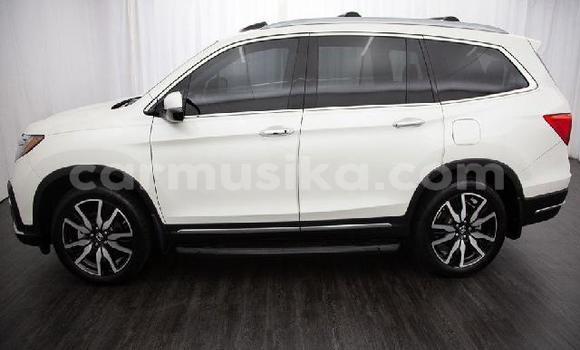 Tenga Tsaru Honda Pilot Chena Mota in Beitbridge in Matabeleland South Tenga Tsaru Honda Pilot Chena Mota in Beitbridge in Matabeleland South