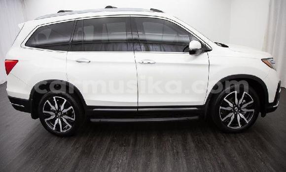 Tenga Tsaru Honda Pilot Chena Mota in Beitbridge in Matabeleland South Tenga Tsaru Honda Pilot Chena Mota in Beitbridge in Matabeleland South