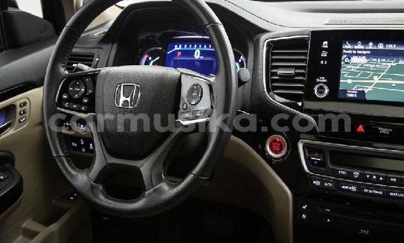 Tenga Tsaru Honda Pilot Chena Mota in Beitbridge in Matabeleland South Tenga Tsaru Honda Pilot Chena Mota in Beitbridge in Matabeleland South