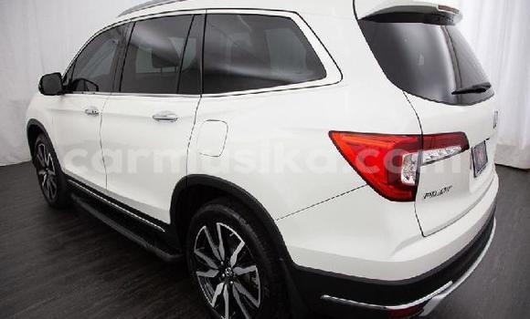 Tenga Tsaru Honda Pilot Chena Mota in Beitbridge in Matabeleland South Tenga Tsaru Honda Pilot Chena Mota in Beitbridge in Matabeleland South