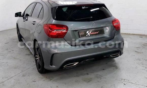 Tenga Tsaru Mercedes‒Benz A-klasse AMG Sirivha Mota in Beitbridge in Matabeleland South Tenga Tsaru Mercedes‒Benz A-klasse AMG Sirivha Mota in Beitbridge in Matabeleland South