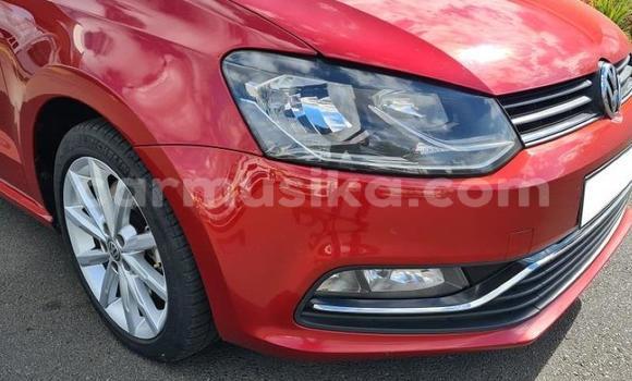 Buy Used Volkswagen Polo Red Car in Beitbridge in Matabeleland South Buy Used Volkswagen Polo Red Car in Beitbridge in Matabeleland South