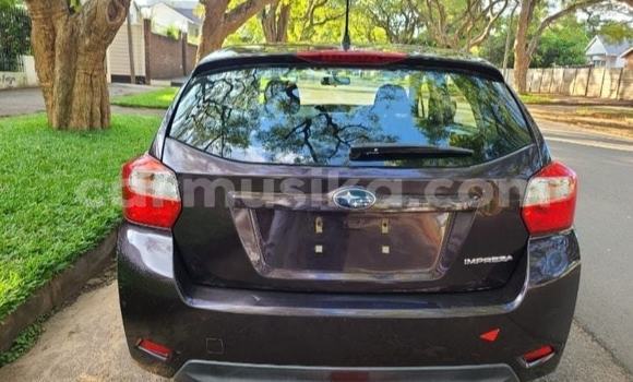 Tenga Tsaru Subaru Impreza Zvimwe Mota in Harare in Harare Tenga Tsaru Subaru Impreza Zvimwe Mota in Harare in Harare