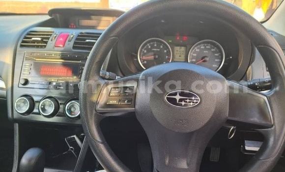 Tenga Tsaru Subaru Impreza Zvimwe Mota in Harare in Harare Tenga Tsaru Subaru Impreza Zvimwe Mota in Harare in Harare