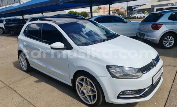 Tenga Tsaru Volkswagen Polo Chena Mota in Beitbridge in Matabeleland South