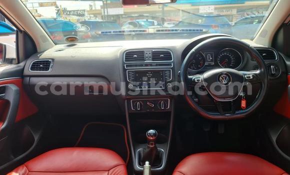 Buy Used Volkswagen Polo White Car in Beitbridge in Matabeleland South Buy Used Volkswagen Polo White Car in Beitbridge in Matabeleland South