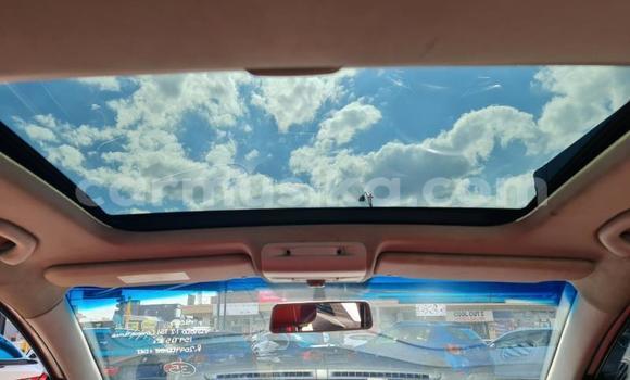 Buy Used Volkswagen Polo White Car in Beitbridge in Matabeleland South Buy Used Volkswagen Polo White Car in Beitbridge in Matabeleland South