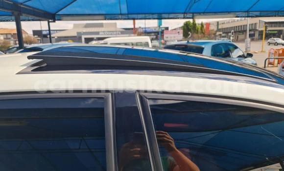 Buy Used Volkswagen Polo White Car in Beitbridge in Matabeleland South Buy Used Volkswagen Polo White Car in Beitbridge in Matabeleland South