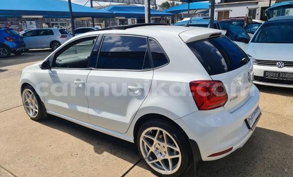 Buy Used Volkswagen Polo White Car in Beitbridge in Matabeleland South Buy Used Volkswagen Polo White Car in Beitbridge in Matabeleland South