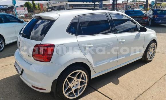 Buy Used Volkswagen Polo White Car in Beitbridge in Matabeleland South Buy Used Volkswagen Polo White Car in Beitbridge in Matabeleland South