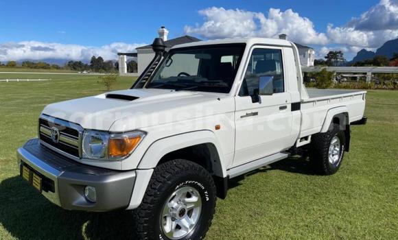 Buy Used Toyota Land Cruiser White Car in Beitbridge in Matabeleland South