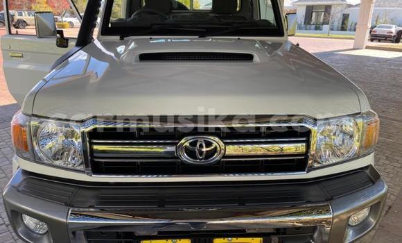 Tenga Tsaru Toyota Land Cruiser Chena Mota in Beitbridge in Matabeleland South Tenga Tsaru Toyota Land Cruiser Chena Mota in Beitbridge in Matabeleland South