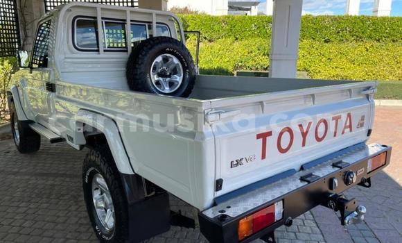 Tenga Tsaru Toyota Land Cruiser Chena Mota in Beitbridge in Matabeleland South Tenga Tsaru Toyota Land Cruiser Chena Mota in Beitbridge in Matabeleland South