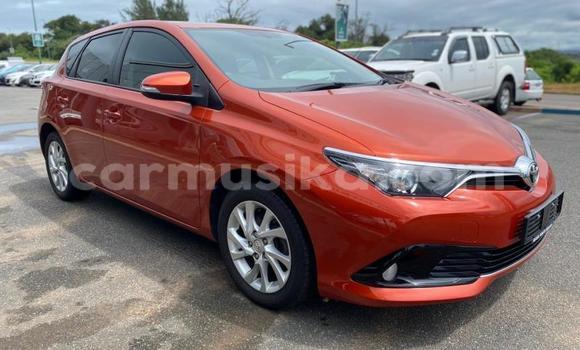 Buy Used Toyota Auris Red Car in Beitbridge in Matabeleland South Buy Used Toyota Auris Red Car in Beitbridge in Matabeleland South