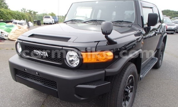 Tenga Tsaru Toyota FJ Cruiser Nhema Mota in Beitbridge in Matabeleland South