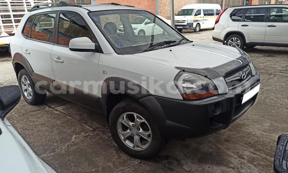 Tenga Tsaru Hyundai Tucson Chena Mota in Harare in Harare