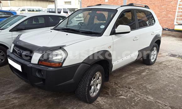 Buy Used Hyundai Tucson White Car in Harare in Harare Buy Used Hyundai Tucson White Car in Harare in Harare