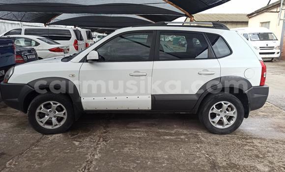 Buy Used Hyundai Tucson White Car in Harare in Harare Buy Used Hyundai Tucson White Car in Harare in Harare
