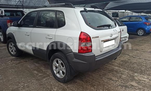 Buy Used Hyundai Tucson White Car in Harare in Harare Buy Used Hyundai Tucson White Car in Harare in Harare