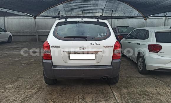 Buy Used Hyundai Tucson White Car in Harare in Harare Buy Used Hyundai Tucson White Car in Harare in Harare