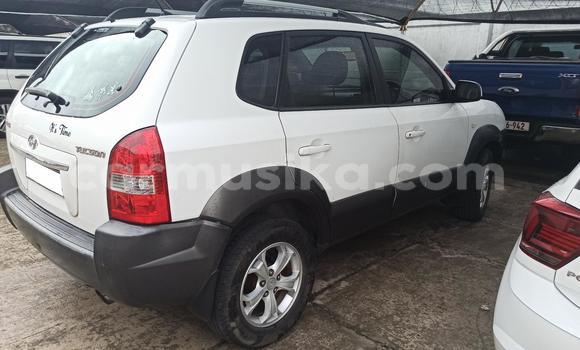 Buy Used Hyundai Tucson White Car in Harare in Harare Buy Used Hyundai Tucson White Car in Harare in Harare