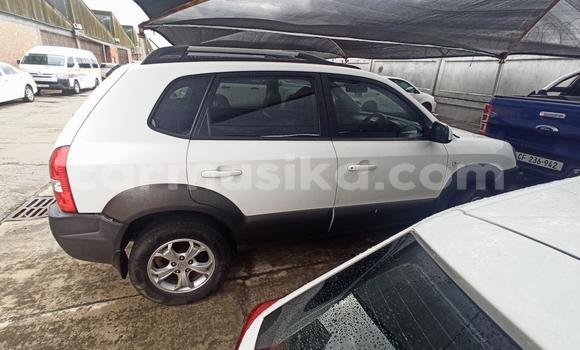Buy Used Hyundai Tucson White Car in Harare in Harare Buy Used Hyundai Tucson White Car in Harare in Harare