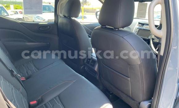 Buy Used Nissan Navara Silver Car in Beitbridge in Matabeleland South Buy Used Nissan Navara Silver Car in Beitbridge in Matabeleland South