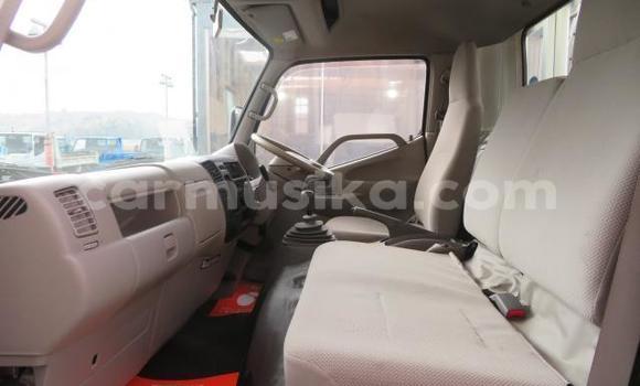 Tenga Tsaru Toyota Dyna Chena Rori in Beitbridge in Matabeleland South Tenga Tsaru Toyota Dyna Chena Rori in Beitbridge in Matabeleland South