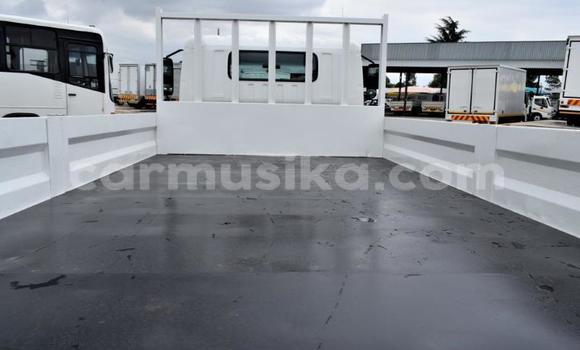 Buy Used Hino 300 Series White Truck in Beitbridge in Matabeleland South Buy Used Hino 300 Series White Truck in Beitbridge in Matabeleland South