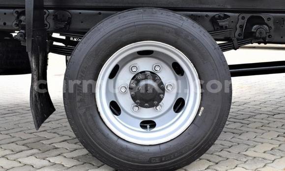 Buy Used Hino 300 Series White Truck in Beitbridge in Matabeleland South Buy Used Hino 300 Series White Truck in Beitbridge in Matabeleland South