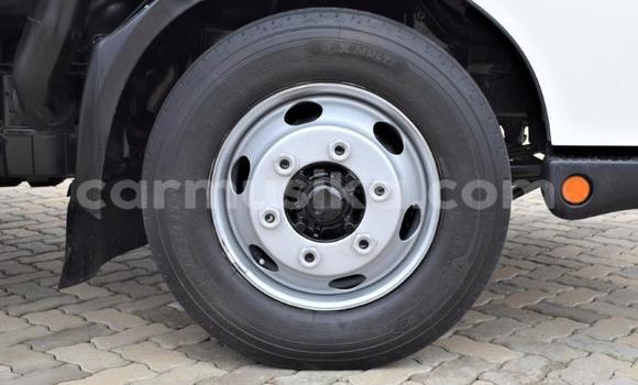 Buy Used Hino 300 Series White Truck in Beitbridge in Matabeleland South Buy Used Hino 300 Series White Truck in Beitbridge in Matabeleland South