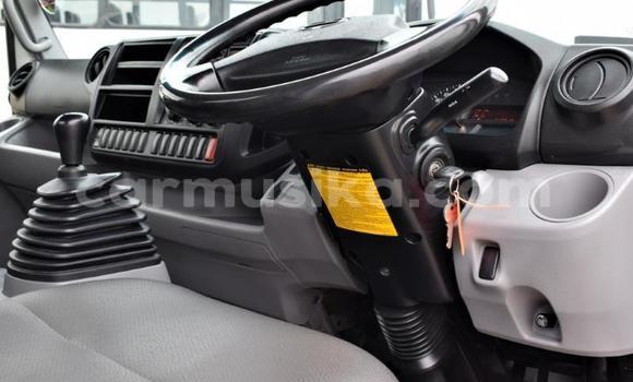 Buy Used Hino 300 Series White Truck in Beitbridge in Matabeleland South Buy Used Hino 300 Series White Truck in Beitbridge in Matabeleland South