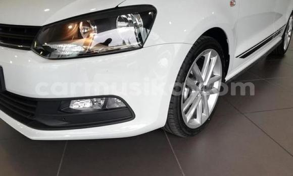 Buy Used Volkswagen Polo White Car in Beitbridge in Matabeleland South Buy Used Volkswagen Polo White Car in Beitbridge in Matabeleland South