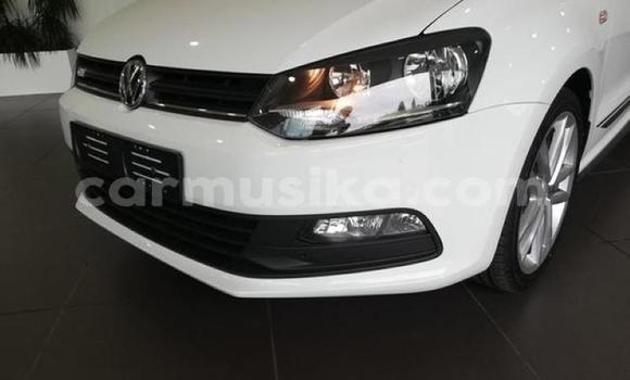 Buy Used Volkswagen Polo White Car in Beitbridge in Matabeleland South Buy Used Volkswagen Polo White Car in Beitbridge in Matabeleland South