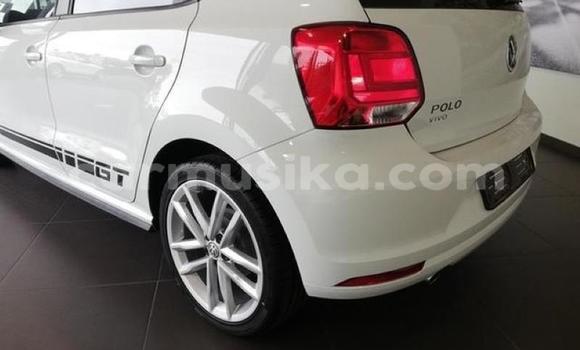 Buy Used Volkswagen Polo White Car in Beitbridge in Matabeleland South Buy Used Volkswagen Polo White Car in Beitbridge in Matabeleland South