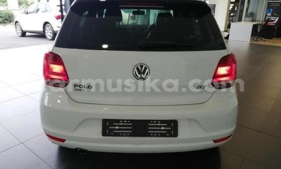 Buy Used Volkswagen Polo White Car in Beitbridge in Matabeleland South Buy Used Volkswagen Polo White Car in Beitbridge in Matabeleland South