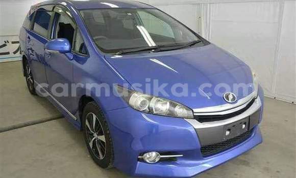 Tenga Tsaru Toyota Wish Bhuruu Mota in Beitbridge in Matabeleland South
