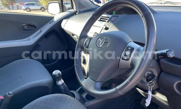 Tenga Tsaru Toyota Yaris Chena Mota in Beitbridge in Matabeleland South Tenga Tsaru Toyota Yaris Chena Mota in Beitbridge in Matabeleland South