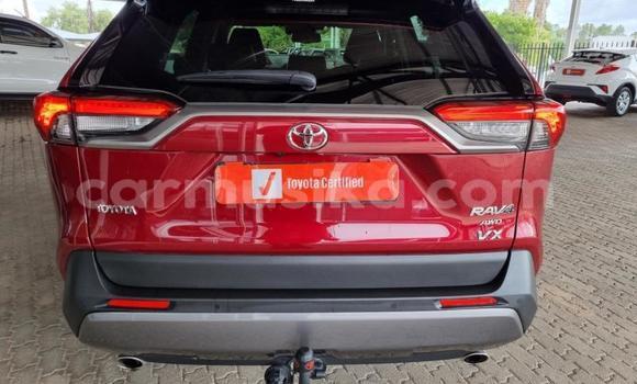 Tenga Tsaru Toyota RAV4 Zvimwe Mota in Beitbridge in Matabeleland South Tenga Tsaru Toyota RAV4 Zvimwe Mota in Beitbridge in Matabeleland South