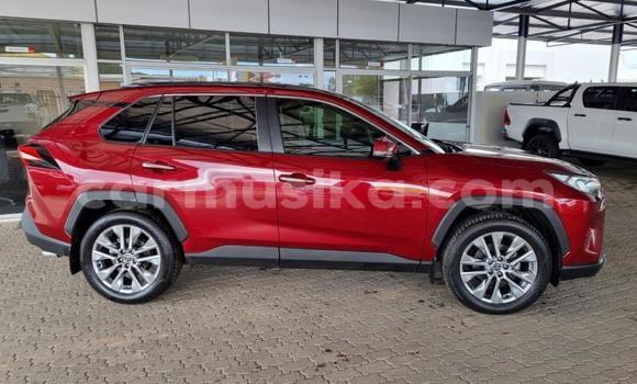 Tenga Tsaru Toyota RAV4 Zvimwe Mota in Beitbridge in Matabeleland South Tenga Tsaru Toyota RAV4 Zvimwe Mota in Beitbridge in Matabeleland South