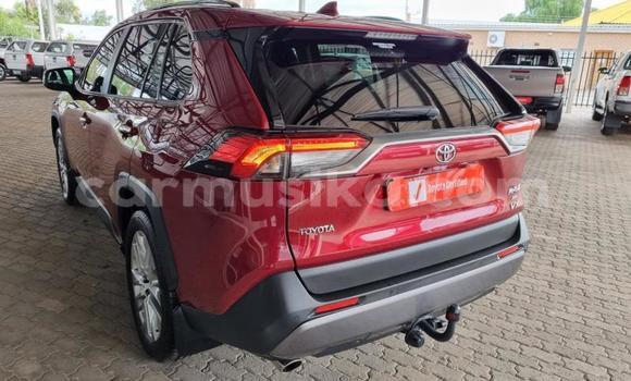 Tenga Tsaru Toyota RAV4 Zvimwe Mota in Beitbridge in Matabeleland South Tenga Tsaru Toyota RAV4 Zvimwe Mota in Beitbridge in Matabeleland South