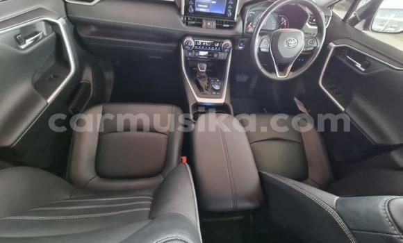 Tenga Tsaru Toyota RAV4 Zvimwe Mota in Beitbridge in Matabeleland South Tenga Tsaru Toyota RAV4 Zvimwe Mota in Beitbridge in Matabeleland South