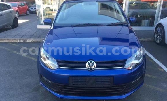 Acheter Occasion Voiture Volkswagen Polo Bleu à Beitbridge, Matabeleland South Acheter Occasion Voiture Volkswagen Polo Bleu à Beitbridge, Matabeleland South