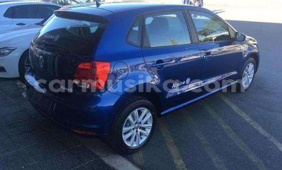 Acheter Occasion Voiture Volkswagen Polo Bleu à Beitbridge, Matabeleland South Acheter Occasion Voiture Volkswagen Polo Bleu à Beitbridge, Matabeleland South