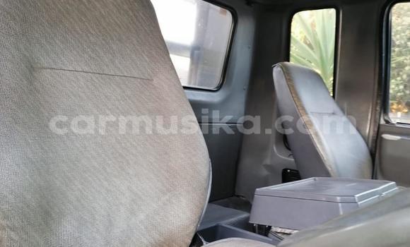 Acheter Occasion Utilitaire Hino 300 Blanc à Beitbridge, Matabeleland South Acheter Occasion Utilitaire Hino 300 Blanc à Beitbridge, Matabeleland South