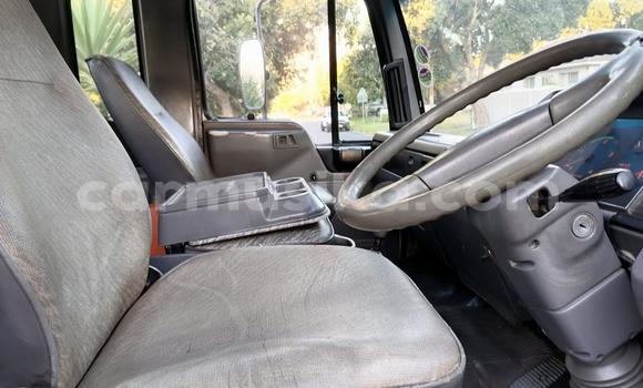 Acheter Occasion Utilitaire Hino 300 Blanc à Beitbridge, Matabeleland South Acheter Occasion Utilitaire Hino 300 Blanc à Beitbridge, Matabeleland South